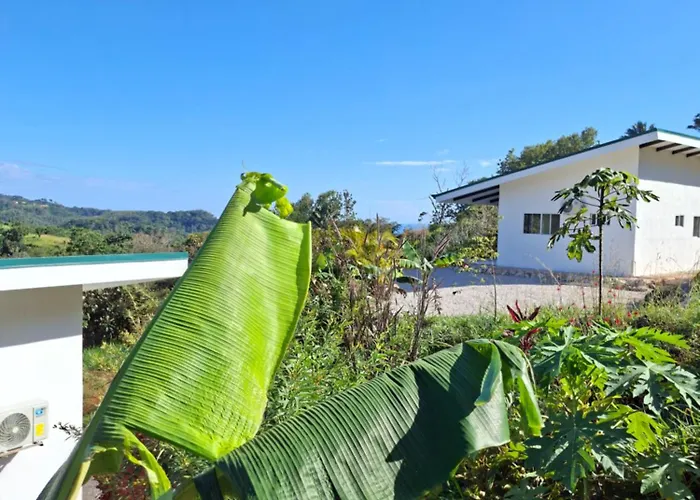 Pura Vista Sámara