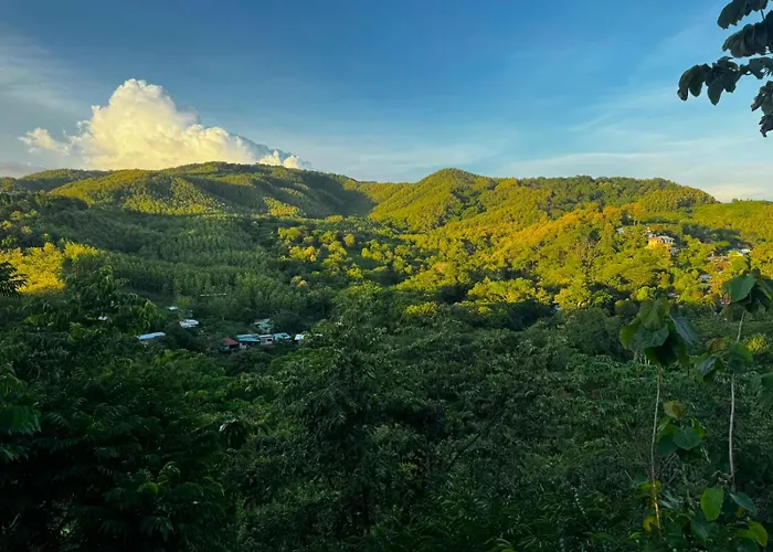 Pura Vista * Sámara