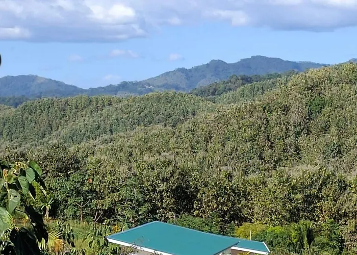 Pura Vista Villa