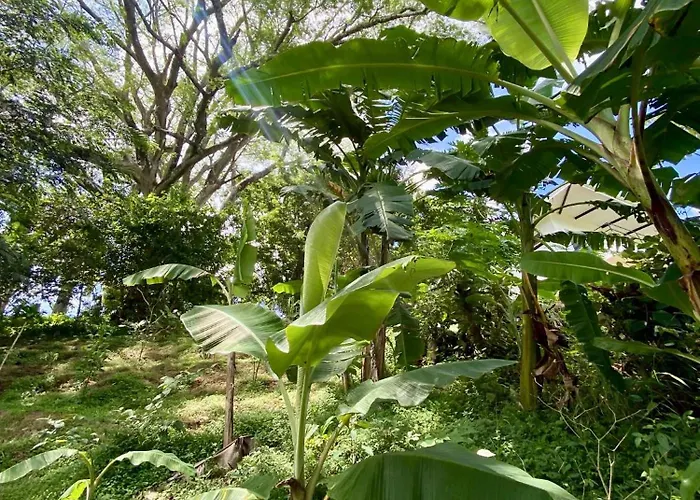 Pura Vista Sámara