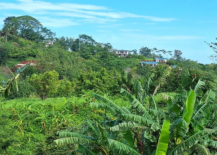 Pura Vista Villa *